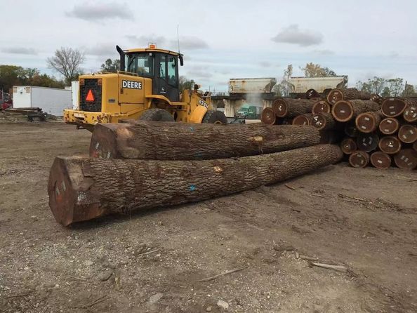 Quality Natural Wood Veneer & Dyed Wood Veneer factory from China