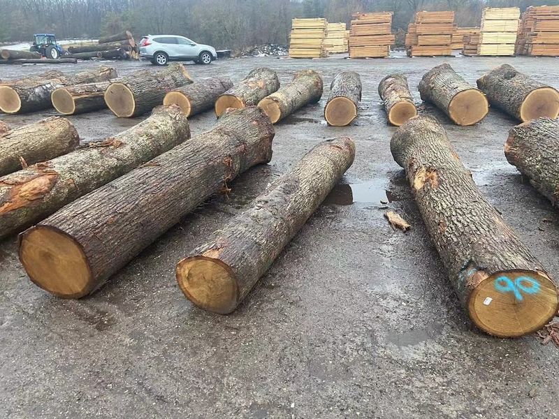 China Dongguan Yinghui Wood Industry Co., Ltd. company profile