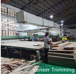Dongguan Yinghui Wood Industry Co., Ltd. manufacturer production line
