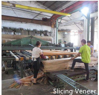 Dongguan Yinghui Wood Industry Co., Ltd. manufacturer production line