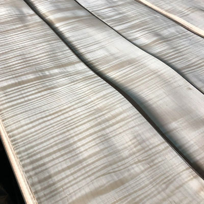 Maple Patterned Natural Wood Veneer 0.45mm Plywood Sound Absorption