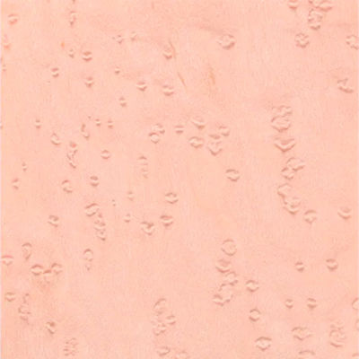 Interior Natural Wood Veneer Mildewproof Dyed Birdseye Maple Timber