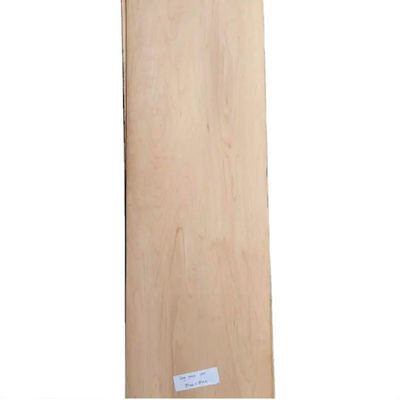 Canadian Maple Rotary Cut Veneer Natural 0.6mm-3.0mm For Skateboards