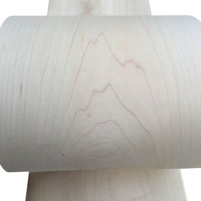 Customized Rotary Cut Maple Veneer , 1.7mm Natural Maple Wood Veneer Sheets