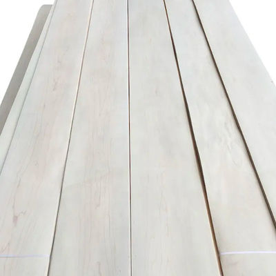 Customized Rotary Cut Maple Veneer , 1.7mm Natural Maple Wood Veneer Sheets