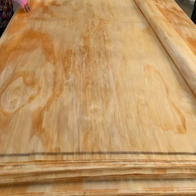 Natural Rotary Cut Veneer FSC Certificate 0.1mm 1mm For Furniture Plywood
