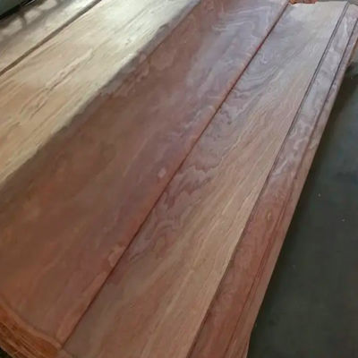 Natural Rotary Cut Veneer FSC Certificate 0.1mm 1mm For Furniture Plywood