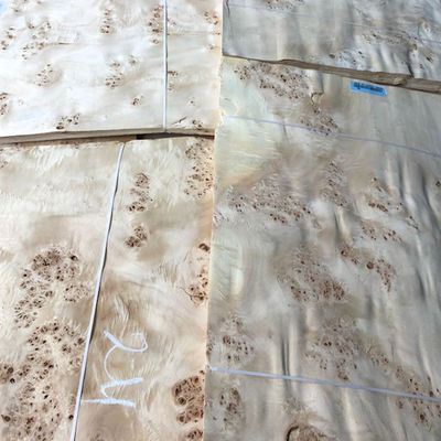 AA Burl Wood Veneer Natural Mappa Sheet Plywood Waterproof Durable