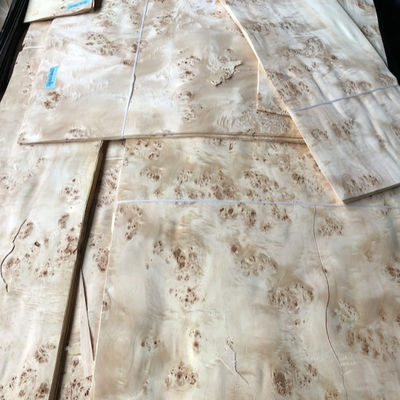 AA Burl Wood Veneer Natural Mappa Sheet Plywood Waterproof Durable