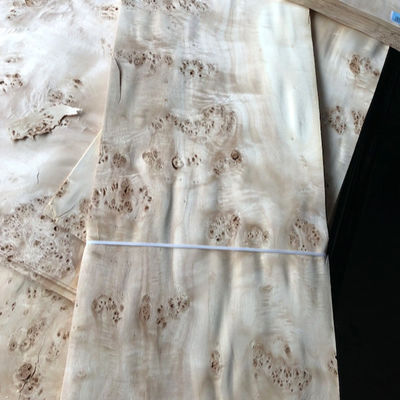 AA Burl Wood Veneer Natural Mappa Sheet Plywood Waterproof Durable