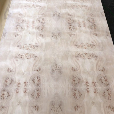 Mappa Burl Wood Veneer Sheet Natural Plywood For Flooring Furniture
