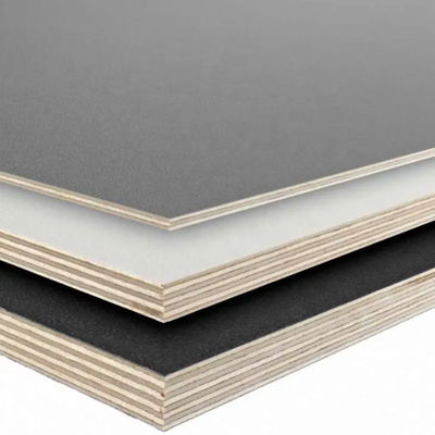 Poplar Back Hardwood Veneer Plywood With Urea Formaldehyde Mildewproof