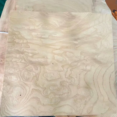 0.50mm Paper Backed Veneer Natural American White Ash Burl Wood Coverings