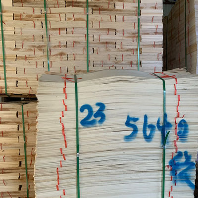 Plywood Poplar Veneer Sheets 0.8-3.0mm B1 Wooden Flooring Panels